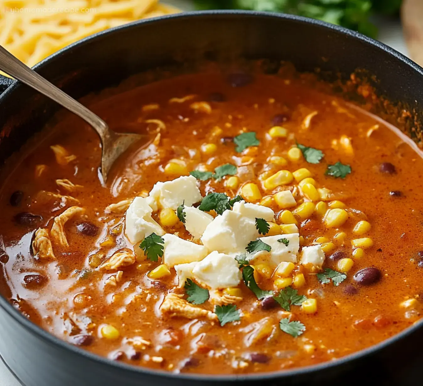 Chicken Enchilada Soup