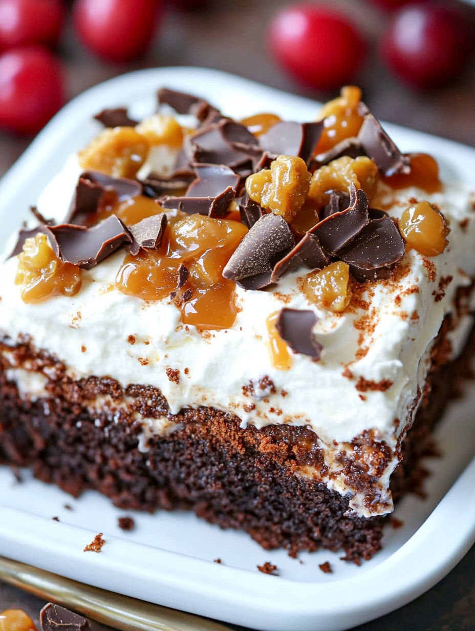 A slice of chocolate cake with chocolate chips and a drizzle of caramel sauce.