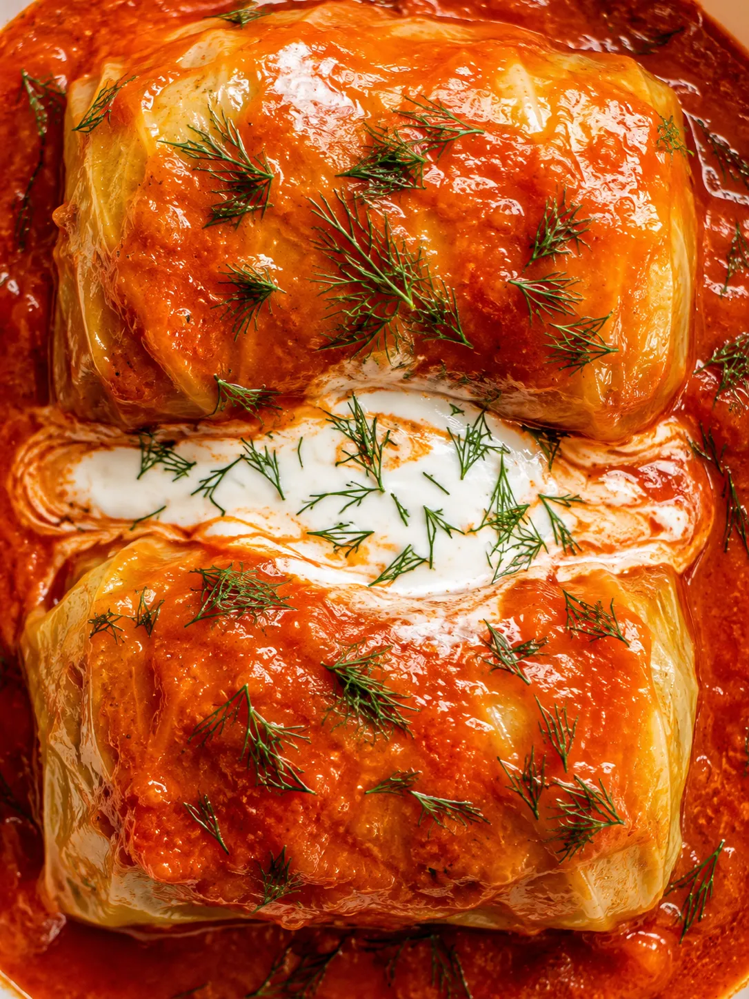 Overhead Polish gołąbki in tomato sauce with sour cream and dill on a white plate