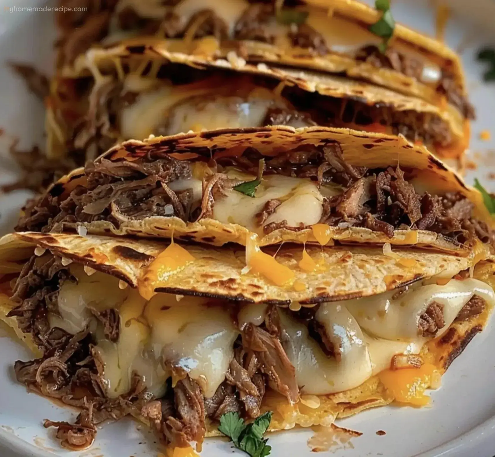 How to Make Quesabirria Tacos