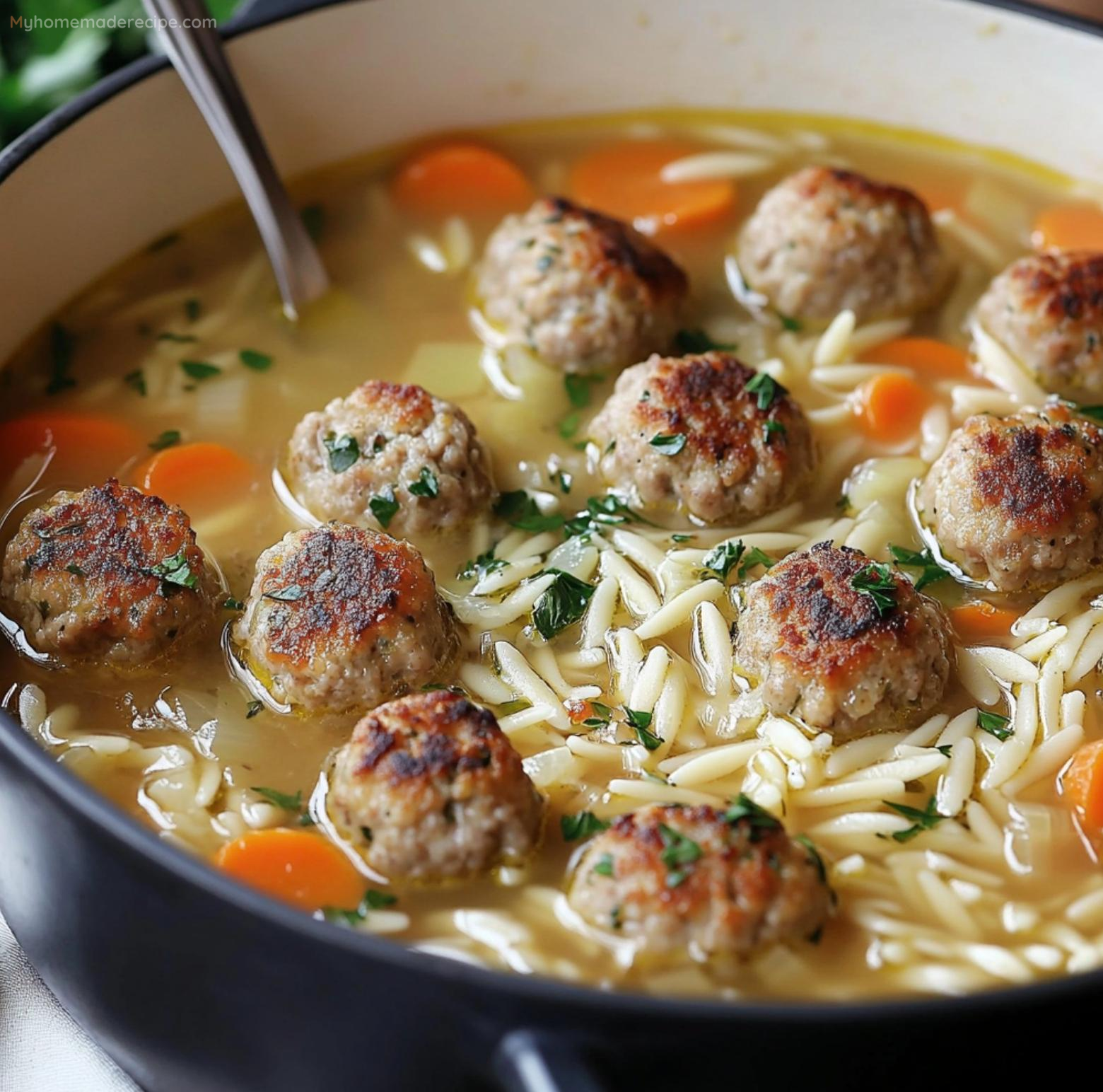 Meatball Soup