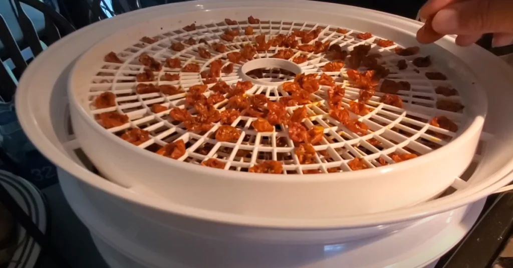 DEHYDRATE CHERRY TOMATOES